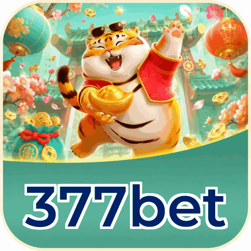 Comparação APP mobile vs versão web da 377bet